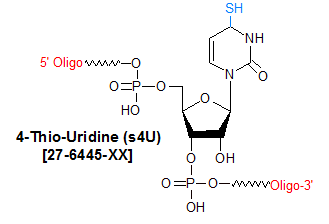 picture of 4-Thio-Uridine (s4U)